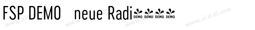 FSP DEMO   neue Radi字体转换